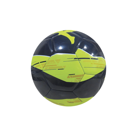 PLAYER 20.5E míč 902