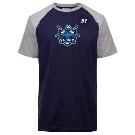 Logo Cafy HC Rytíři Vlašim Jr modrá/šedá