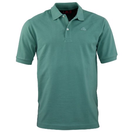 AARAU polo