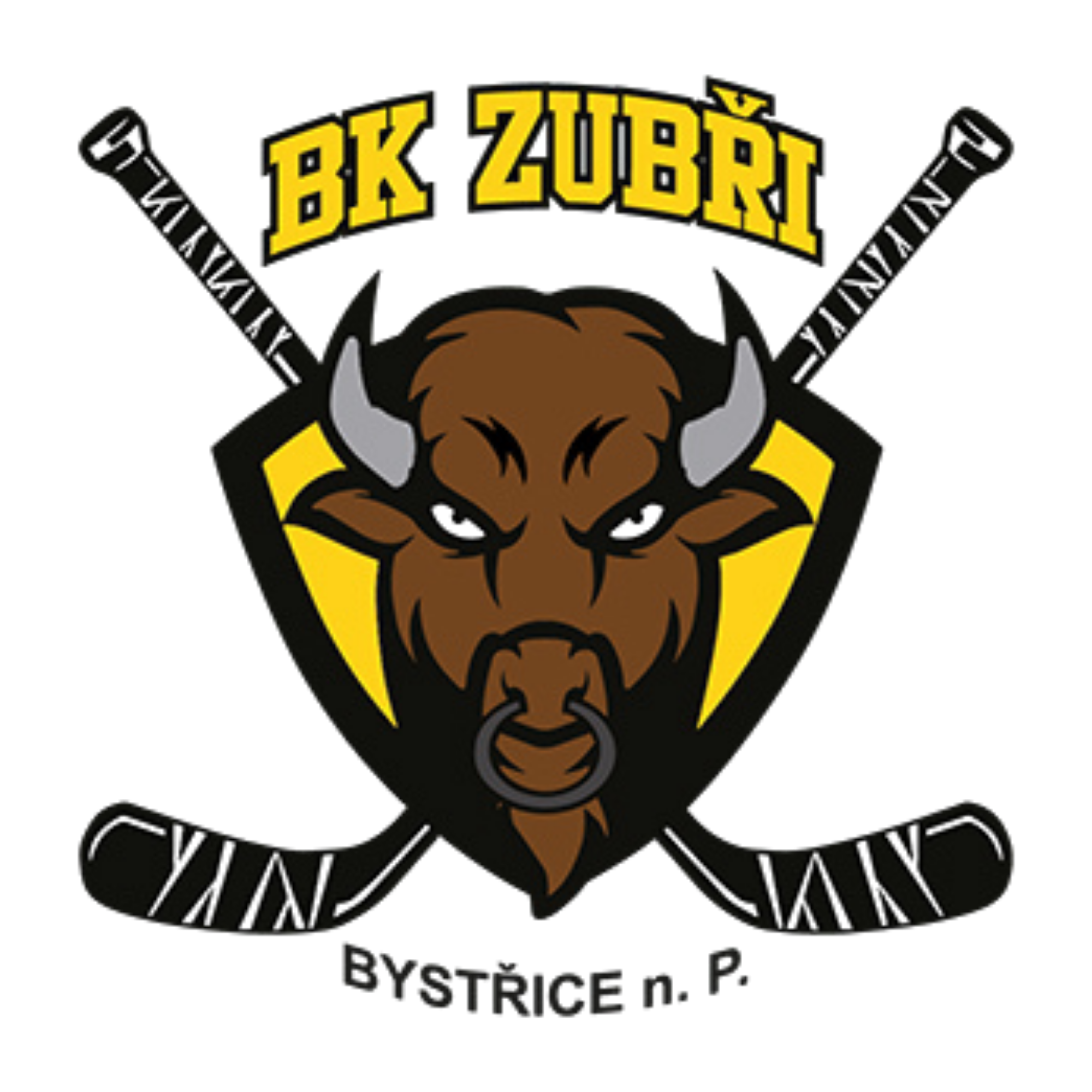 BK Zubři Bystřice