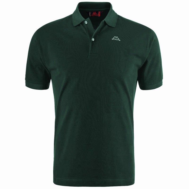 AARAU polo