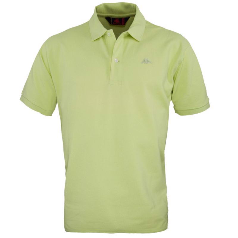 AARAU polo