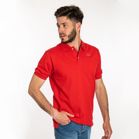 AARAU polo