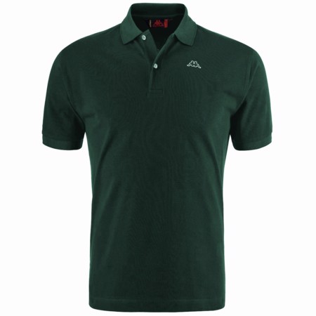 AARAU polo