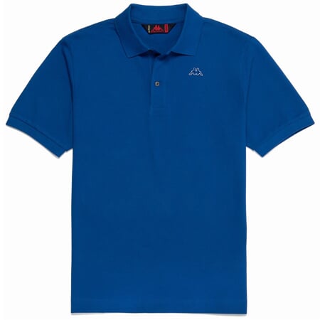 AARAU polo