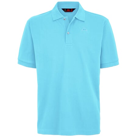 AARAU polo