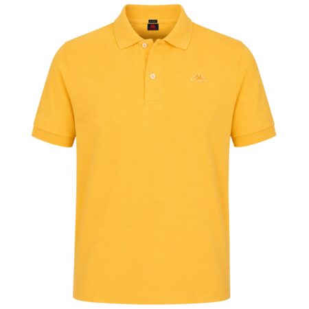 AARAU polo