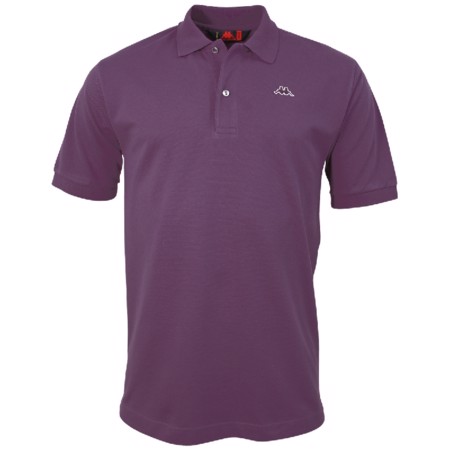 AARAU polo