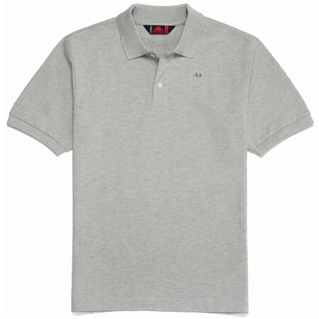 AARAU polo