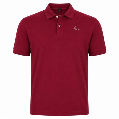 AARAU polo