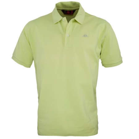 AARAU polo