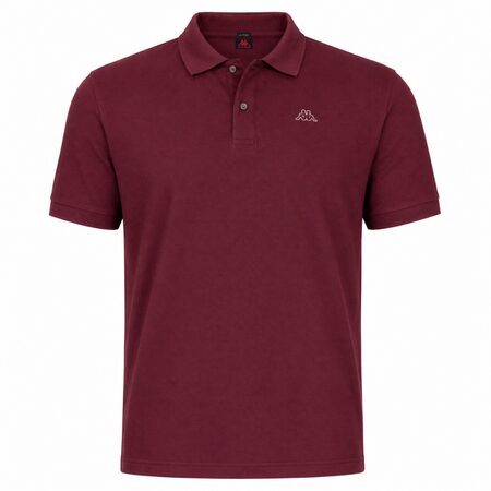 AARAU polo
