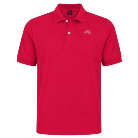 AARAU polo
