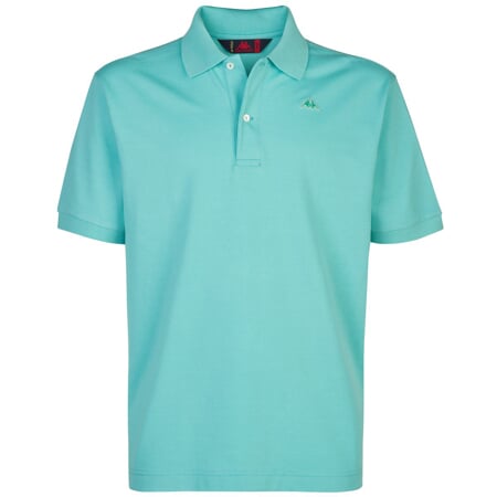 AARAU polo